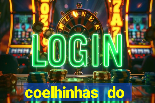 coelhinhas do brasil acompanhantes